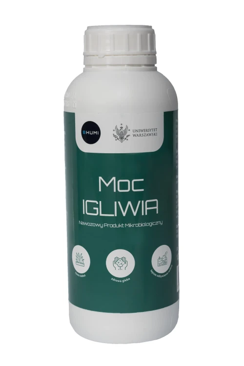 Moc igliwia naturalny nawóz do tui i świerków regeneracja i odżywienie iglaków probiotyk glebowy pod iglaki