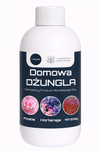 DD_Az_Hor_Wrz_500.png