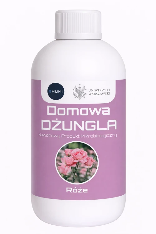 DD_Roz_500.png