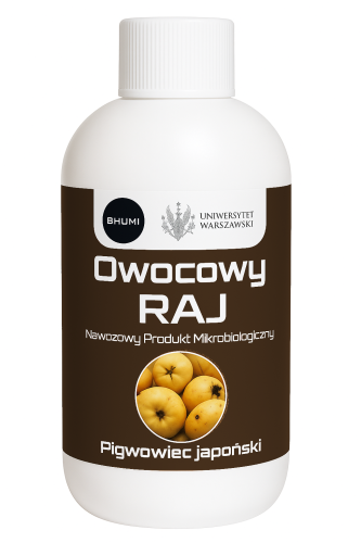 PIGWOWIEC_CIEMNIEJ.png