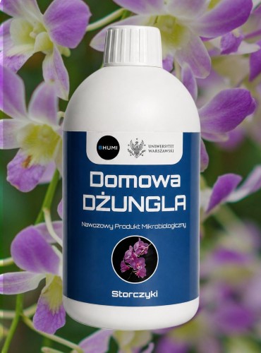 SHOPER_DD_storczyki_500.jpg