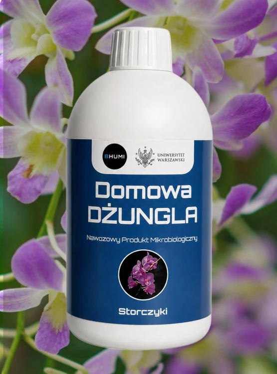SHOPER_DD_storczyki_500.jpg