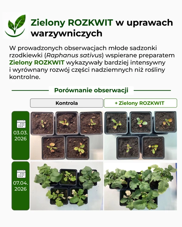 ZR_badania_1.jpg