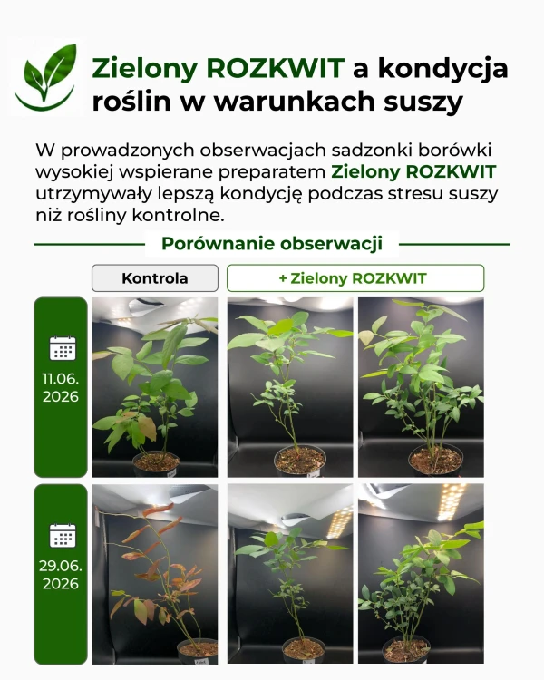 ZR_badania_2.jpg