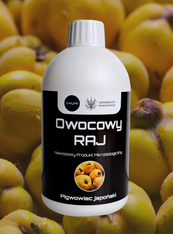 SHOPER_pigwowiec_500ml.jpg