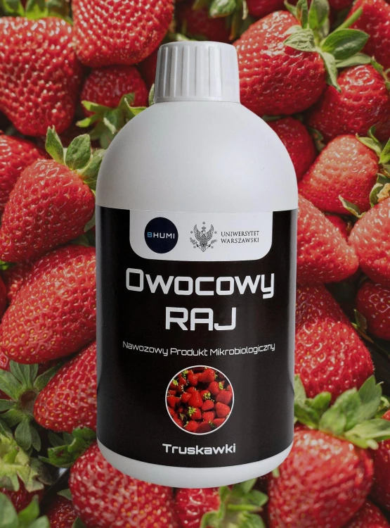 SHOPER_truskawki_500ml.jpg